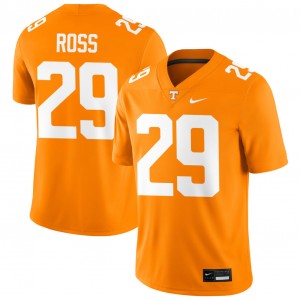 Men Jordan Ross Tennessee Orange TN Vols #29 Alumni Jersey