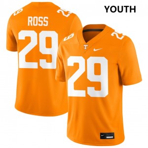 Youth Jordan Ross Tennessee Orange UT Vols #29 Embroidery Jerseys