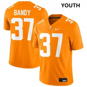 Youth Montrell Bandy Tennessee Orange Tennessee Vols #37 Replica Jerseys